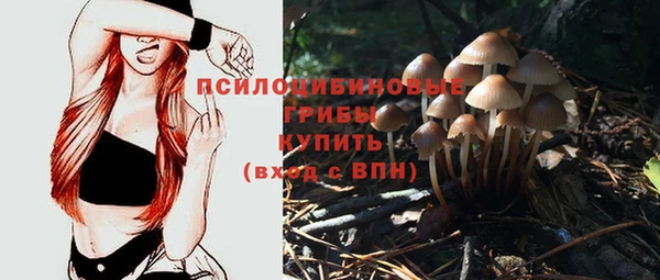a pvp Алексеевка