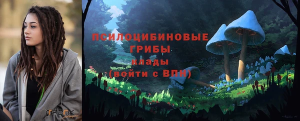a pvp Алексеевка