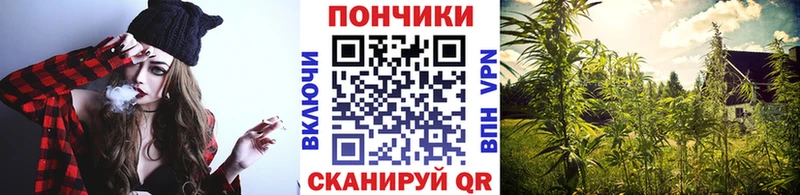 Шишки марихуана MAZAR  как найти   Краснообск 